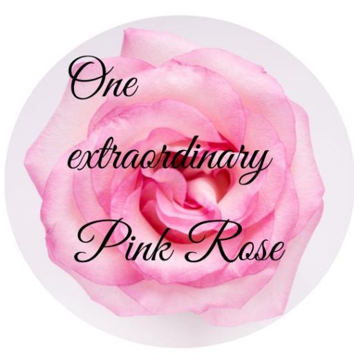 Pink rose story